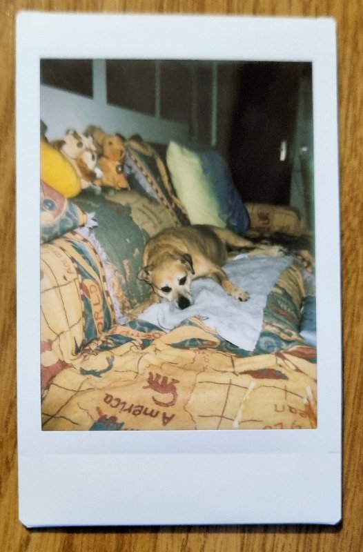 Instax-Cora-5-2-2023 Cora passt genau auf.