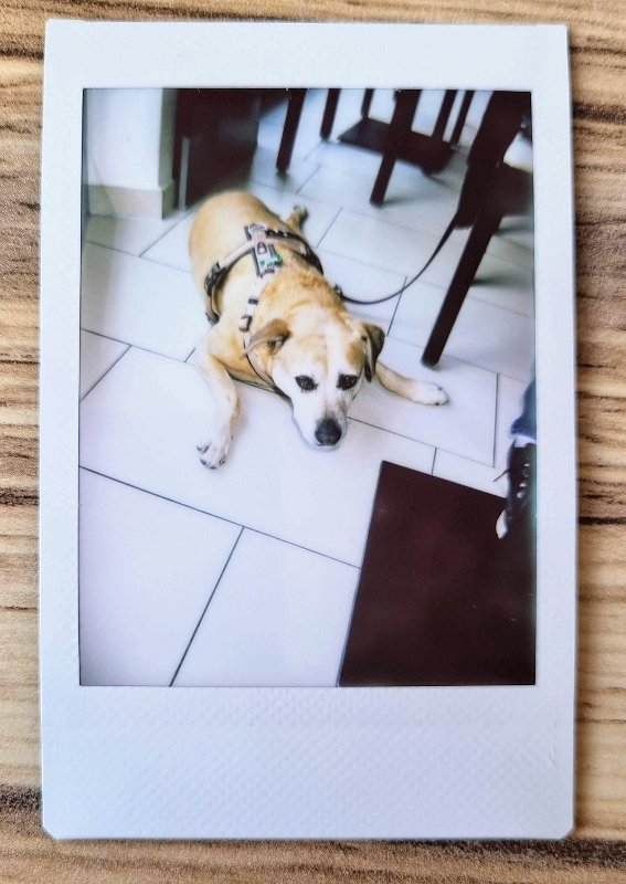 instax cora 2023-4-14 Cora kommt mit.