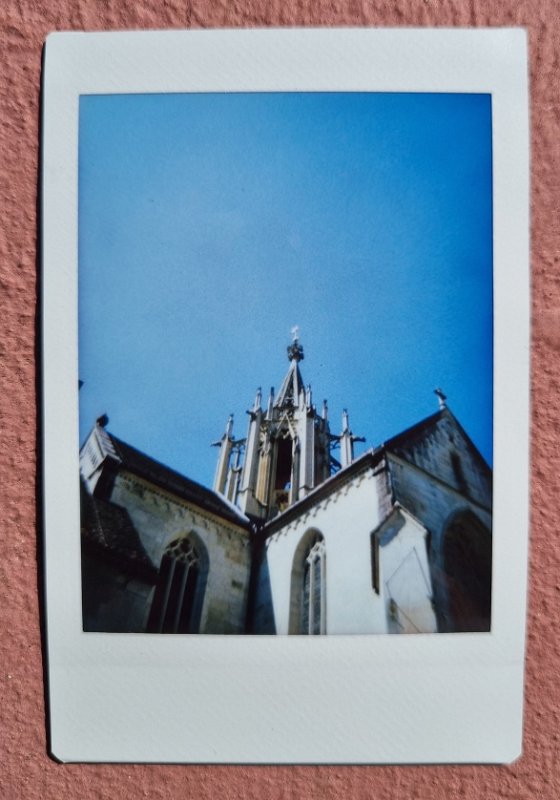 instax kloster bebenhausen 2023-04-21 2 Spazieren und Gassi am Kloster Bebenhausen
