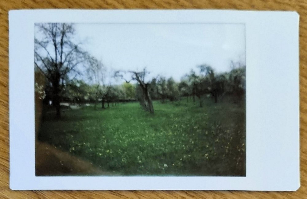 instax natur diezenhalde 2023-04-20-1 Die Natur wacht auf.
