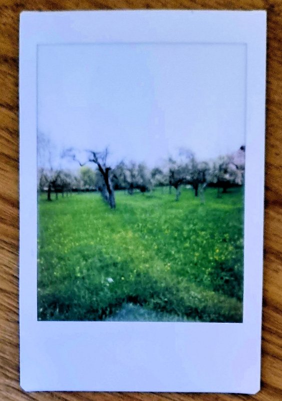 instax natur diezenhalde 2023-04-20-2 Die Natur wacht auf.