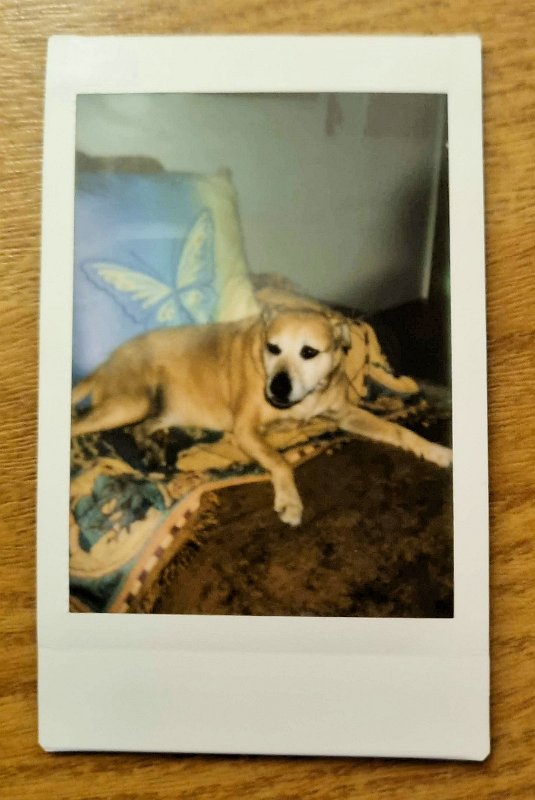 instax-cora-2023-02-17 Cora hat immer gute Laune, genau wie wir.