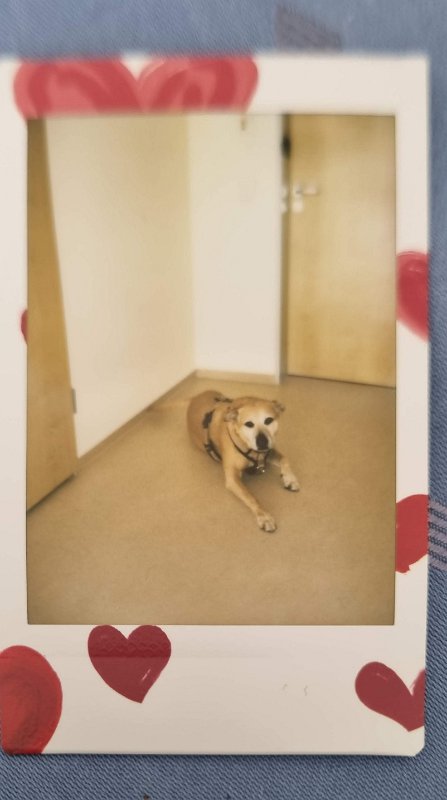 instax-cora-2023-02-26 Cora hat Spaß.