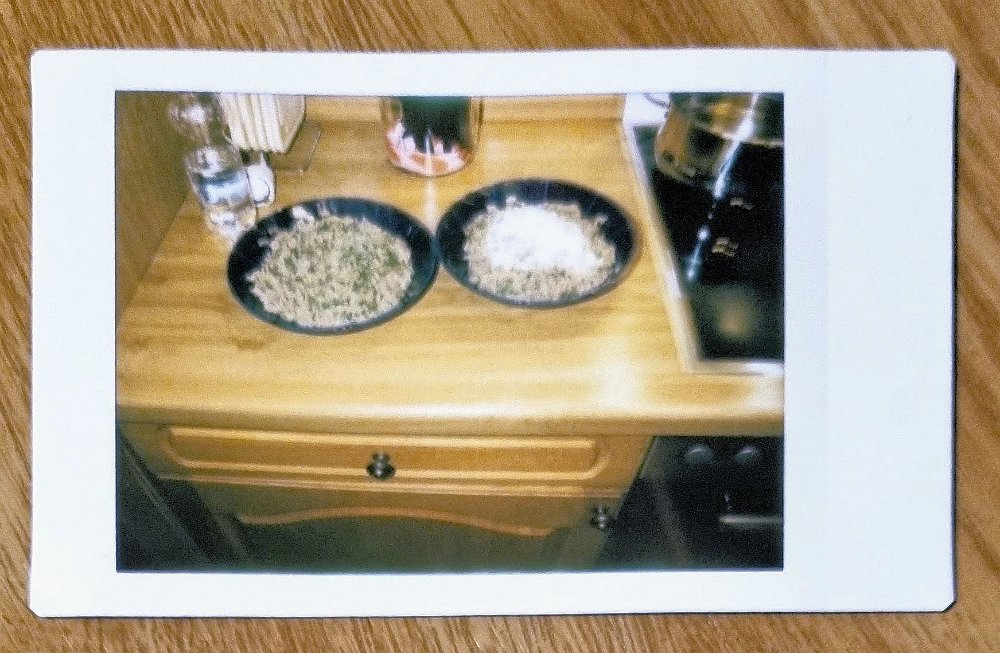 instax-nudeln-spinta-gehacktes-2023-3-29 Nudeln mit Spinat-Gehacktes-Soße, rechts mit Parmesan